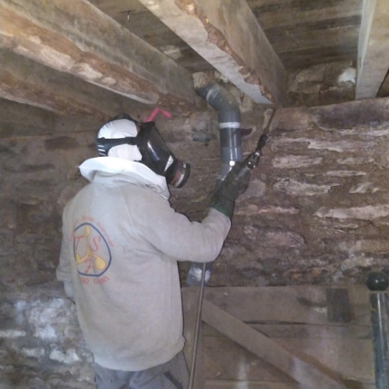 Tsh Traitement Bois Ille Et Vilaine Rennes IMG 3