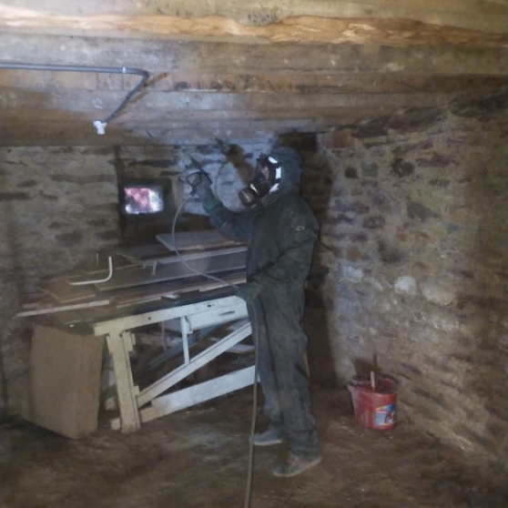 Tsh Traitement Bois Ille Et Vilaine Rennes IMG 4